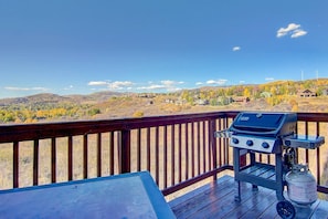 Gas bbq grill on the deck