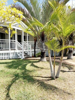 Tallulah's front garden