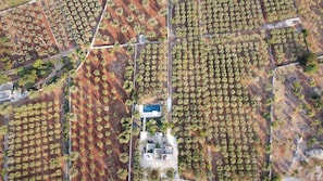 casa amahoro from above showing location in olive grove