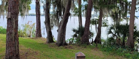 View from the back deck