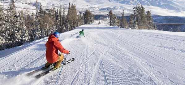 Snow and ski sports