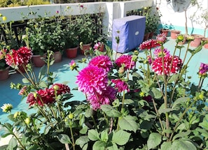 Terrace of One BHK Apartment SA2