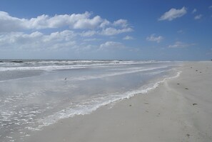 Playa