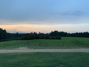 Back yard view