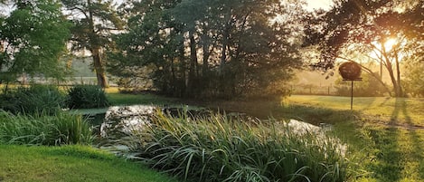 Jardines del alojamiento