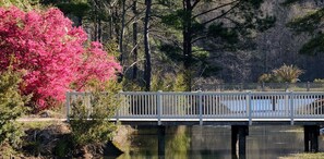 Coastal Georgia Botanical Gardens