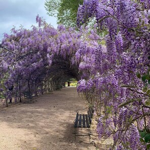 Jardines del alojamiento