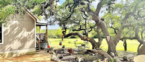 Side of Cabin, Big Oak Tree