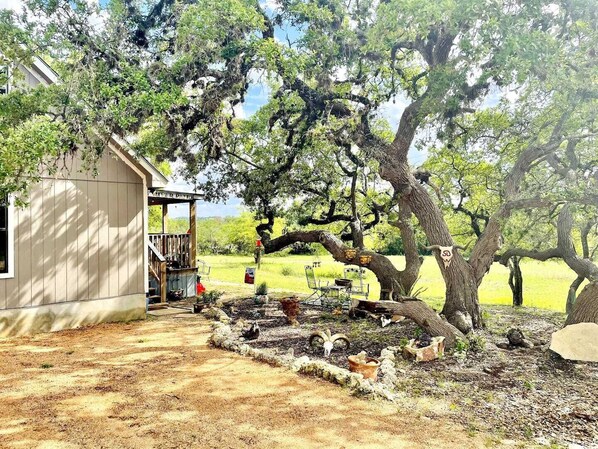 Side of Cabin, Big Oak Tree