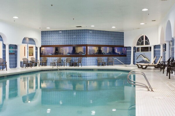 Large swimming pool, don’t be afraid to jump in!