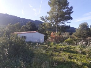Boendeområde