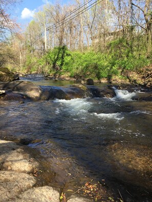 Short walking trail on the property that takes you by this stream.