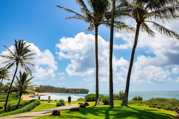 Beautiful unobstructed views of Shipwreck Beach and the beautiful Pacific Ocean.