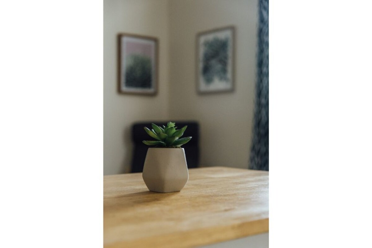 A+ Studio | Prof. Cleaned + Sanitized + Discounts