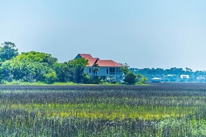 View from Causway