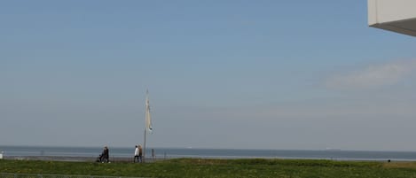 Vista da propriedade