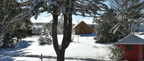 Wintertime view from kitchen window