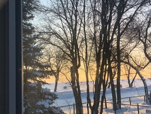 View of ice fishing village out front of our cottage on our lake! 