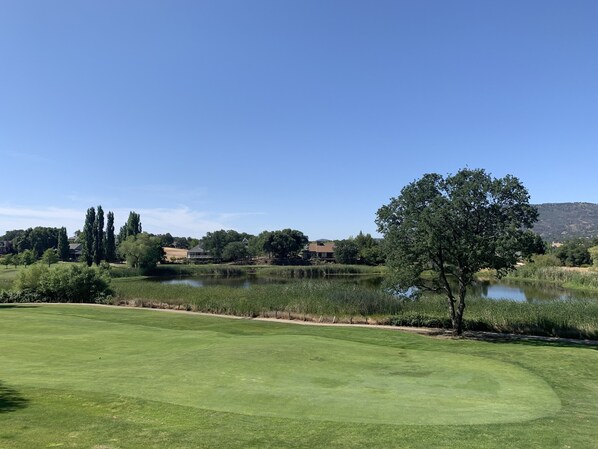 Golf