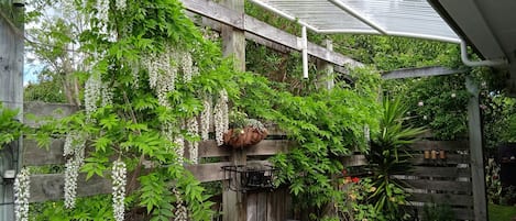 Jardines del alojamiento