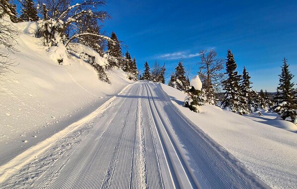 Sports d’hiver