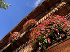 Schon von Weitem begrüßen die Balkonblumen unsere Gäste