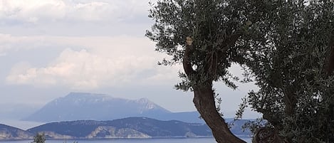 Vista dalla struttura