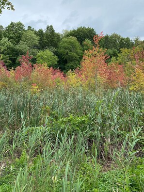 Terrain de l’hébergement 