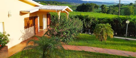 Vue sur la campagne et champs de canne