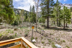 View off back deck