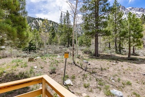 View off back deck