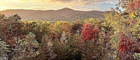 Amazing Fall Views!