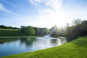 View of the pond with the fountain