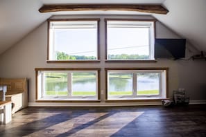 Living room windows