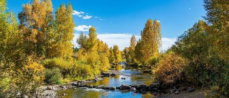 A view of the Yampa River on one of the many trails through Steamboat.