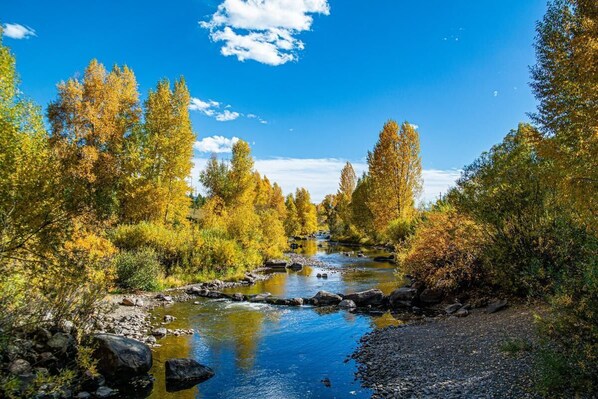 A view of the Yampa River on one of the many trails through Steamboat.