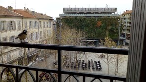 vue de la fenêtre sur le mur végétal des halles.