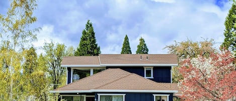 Spacious 2-story home with enclosed backyard and plenty of grass to play for pets. Spring at the 4 Elements House is an explosion of color with lots of new shoots and blossoms.