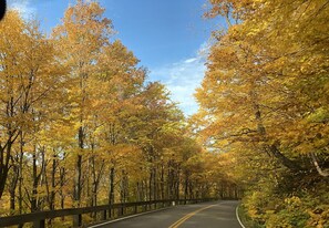 Fall in Stowe