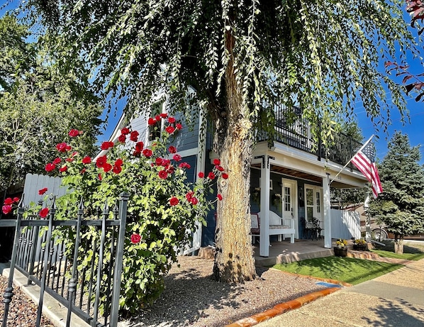 Our Beautiful little Farmhouse