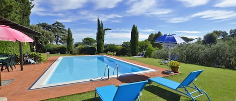 The equipped pool and the nice surrounding lawn