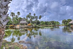 On-Site Pond & Tiki Hut | Other Vacation Rental On-Site