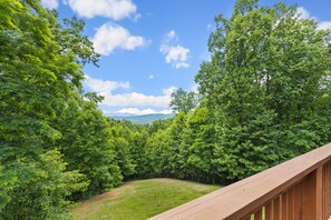 Mountain Views