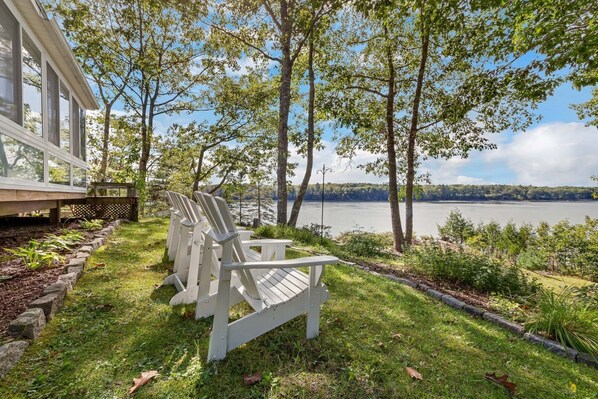 Furniture, Grass, Tree, Bench, Chair