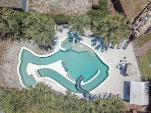 Arial View of the Pool - it's in the shape of a Striker Fish. This is a custom built pool.