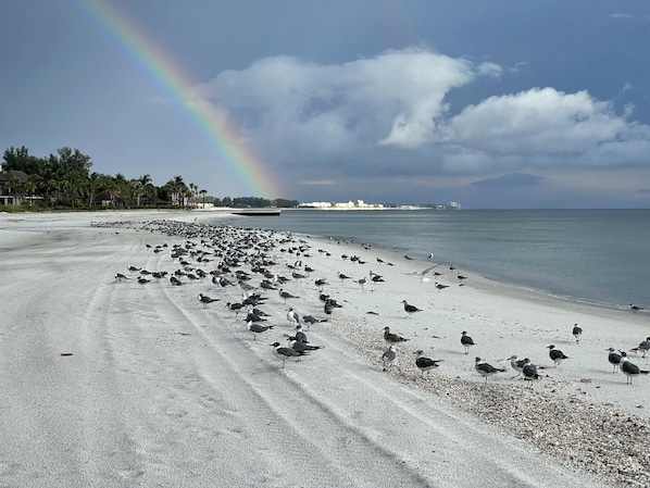 Views of a small part of your beach. Paradise and never crowded!