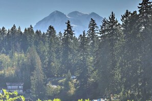 View of Mt. Rainier