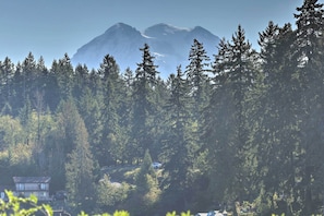 View of Mt. Rainier