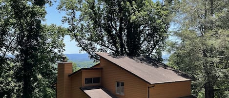 Overview of Home! Freshly painted and thick greenery surrounding house!