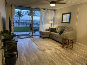 Common Area - Full Pull-out sofa bed. 